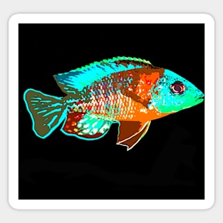 Peacock Cichlid Fish Sticker